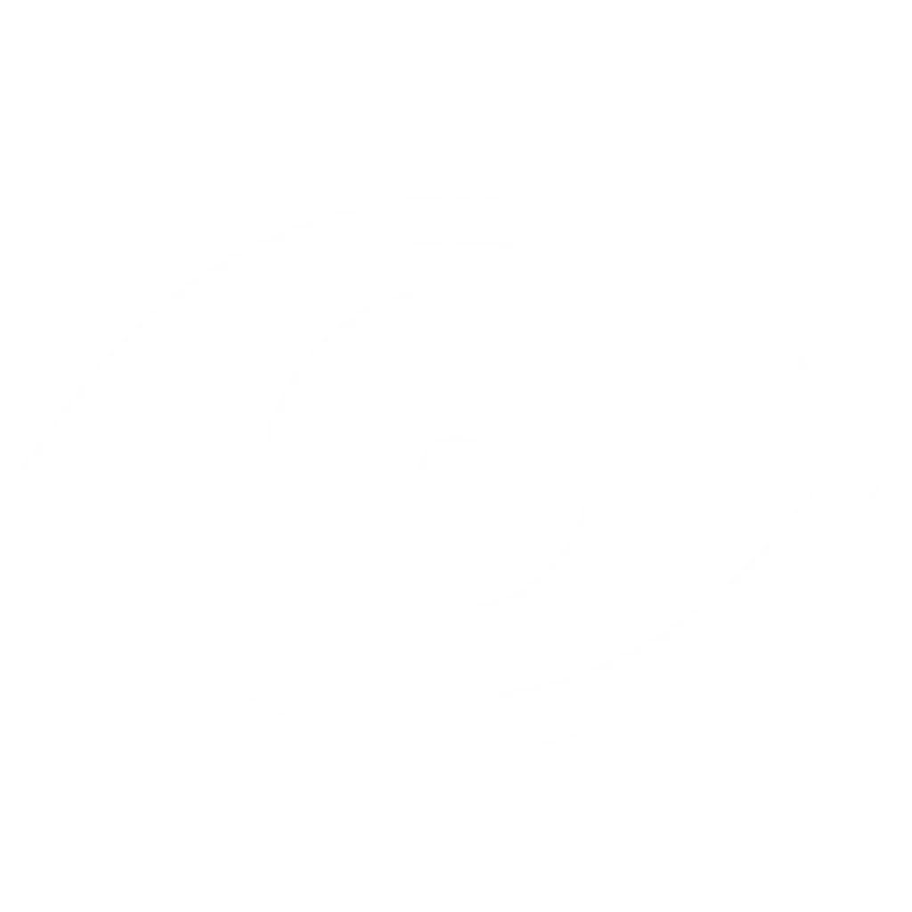 Vision