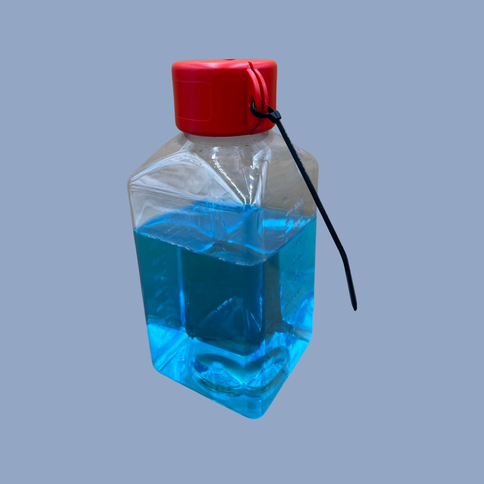 Bottles