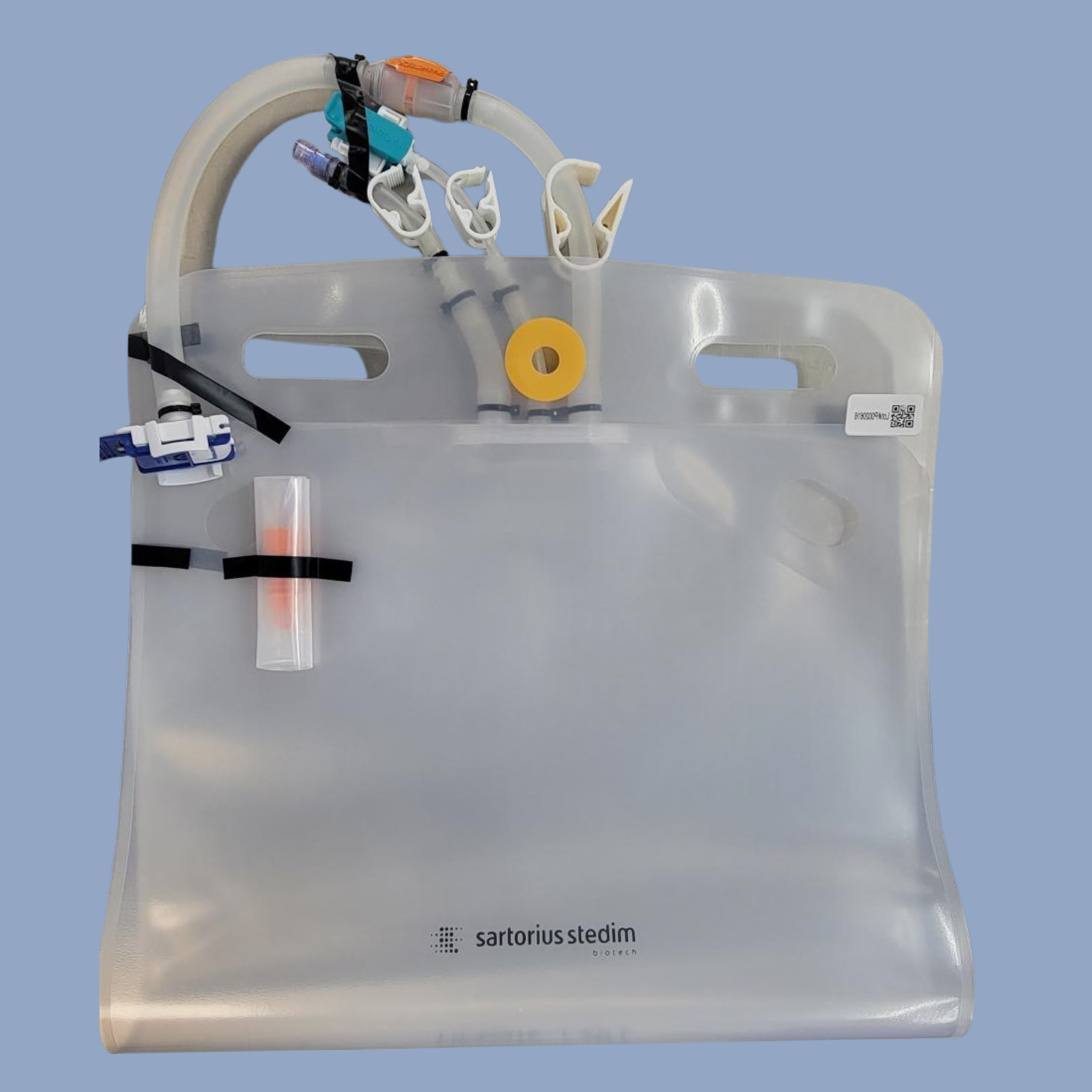 2D Bags
