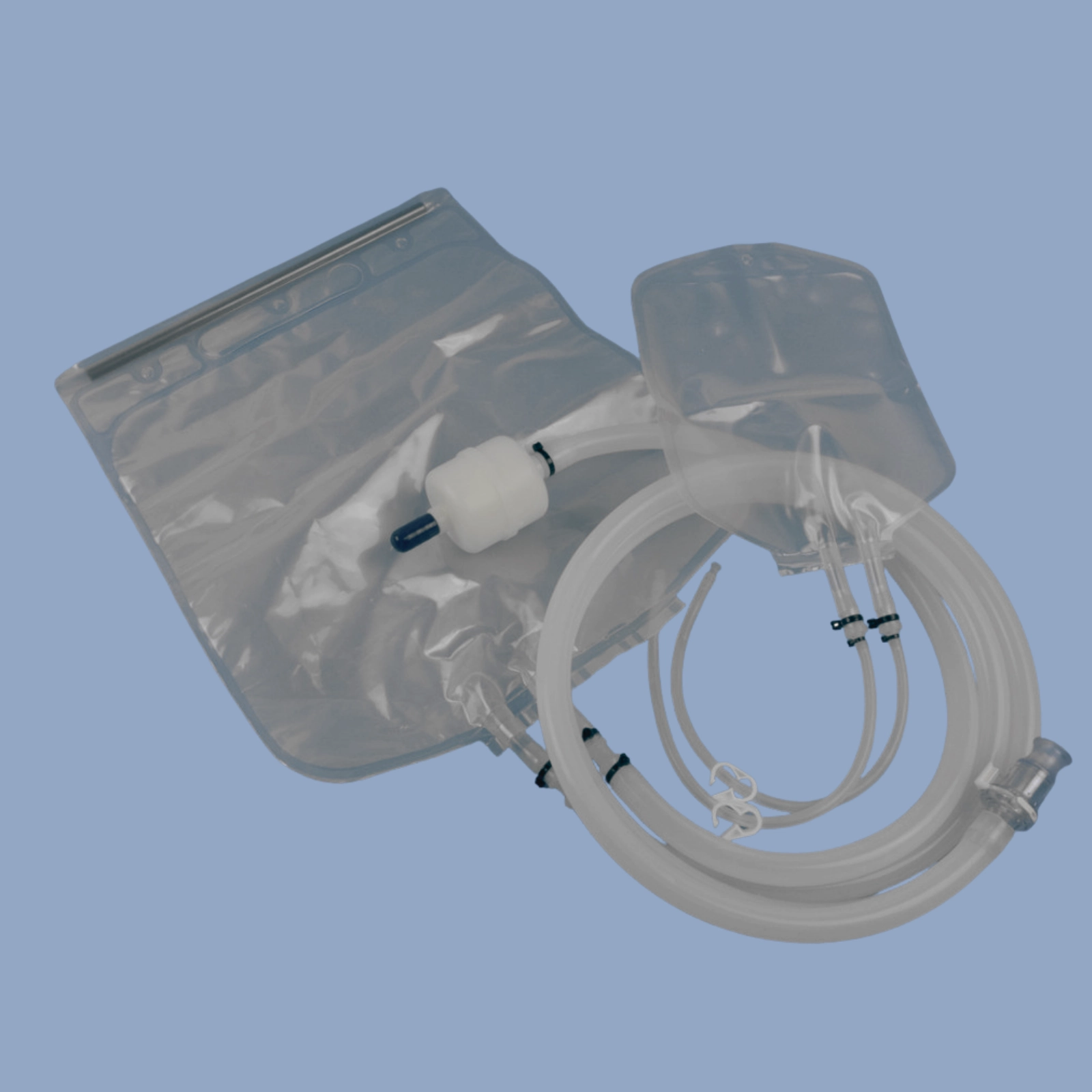 2D Bags